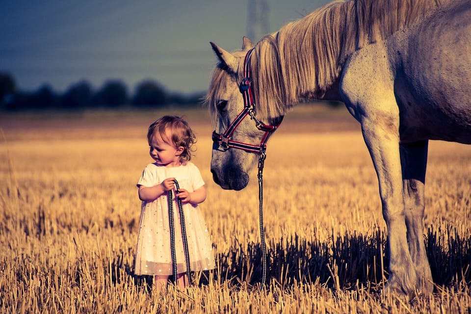 Baby med häst