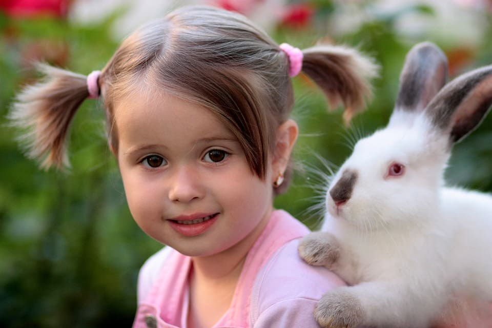 Flicka med kanin