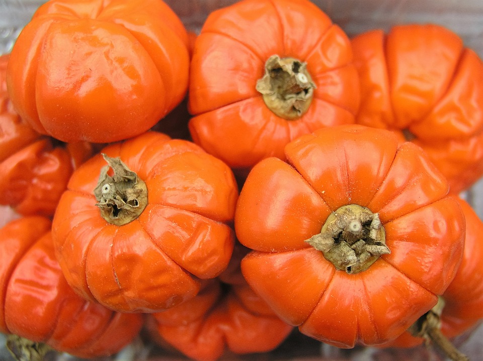 Pumpor